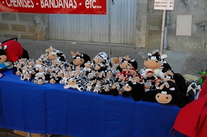 2006 Pentecotavic vic 026