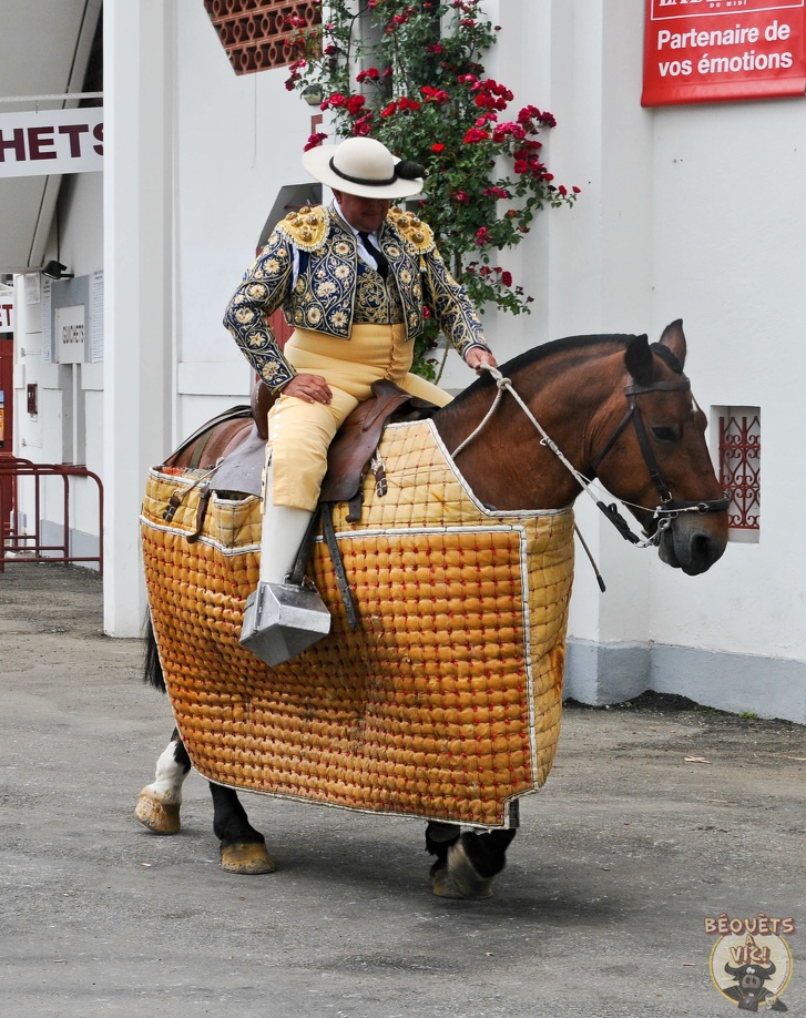 Prix Spécial "Sancho Panza" 2019. On a le droit de porter des vetements moulants et de faire le malin a cheval même quand on a quelques kilos de trop.
2019-06-09_Pentecotavic_13-06-09_goomi.jpg