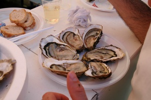 Le rituel des huîtres à L'Estanquet le dimanche pour l'apéro