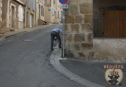 2017-06-02 Solitude 003 (971 visits) Prix spécial Faux depart 2017-06-02 Solitude 003