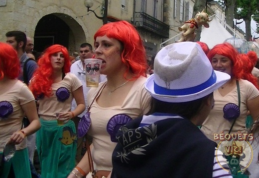 2017-06-Juin 1 Vic-Fezensac (380) (1072 visits) 2017-06-Juin 1 Vic-Fezensac (380)