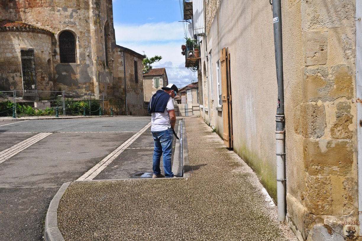 2024-05-19_Pentecotavic_15-18-51_NIKON-D300.jpg