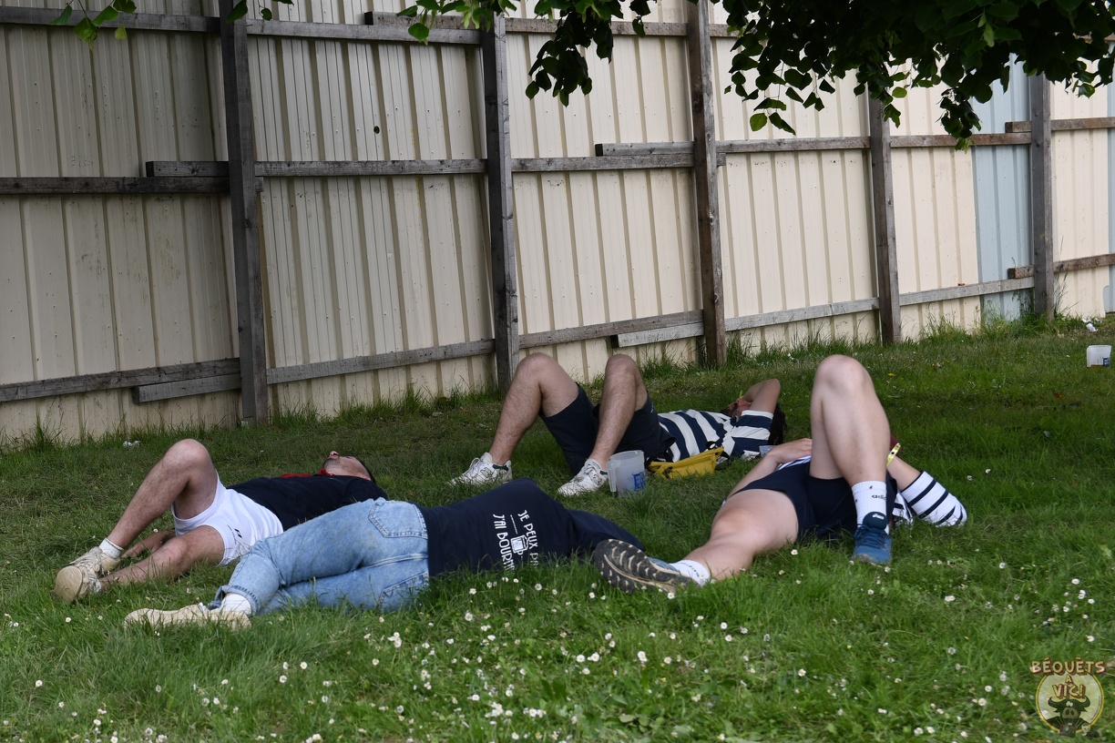24-05-18-17-14-52-DSC3301_D7500.jpg