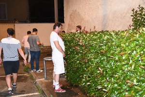2025-06-07  02-30-52-DSC 7335 D7500