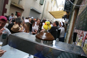 IMG 6572