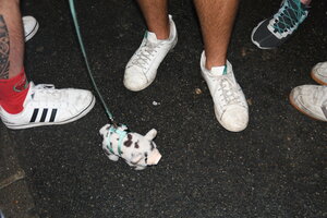 2026-05-23-15-16-52-DSC 2243 web