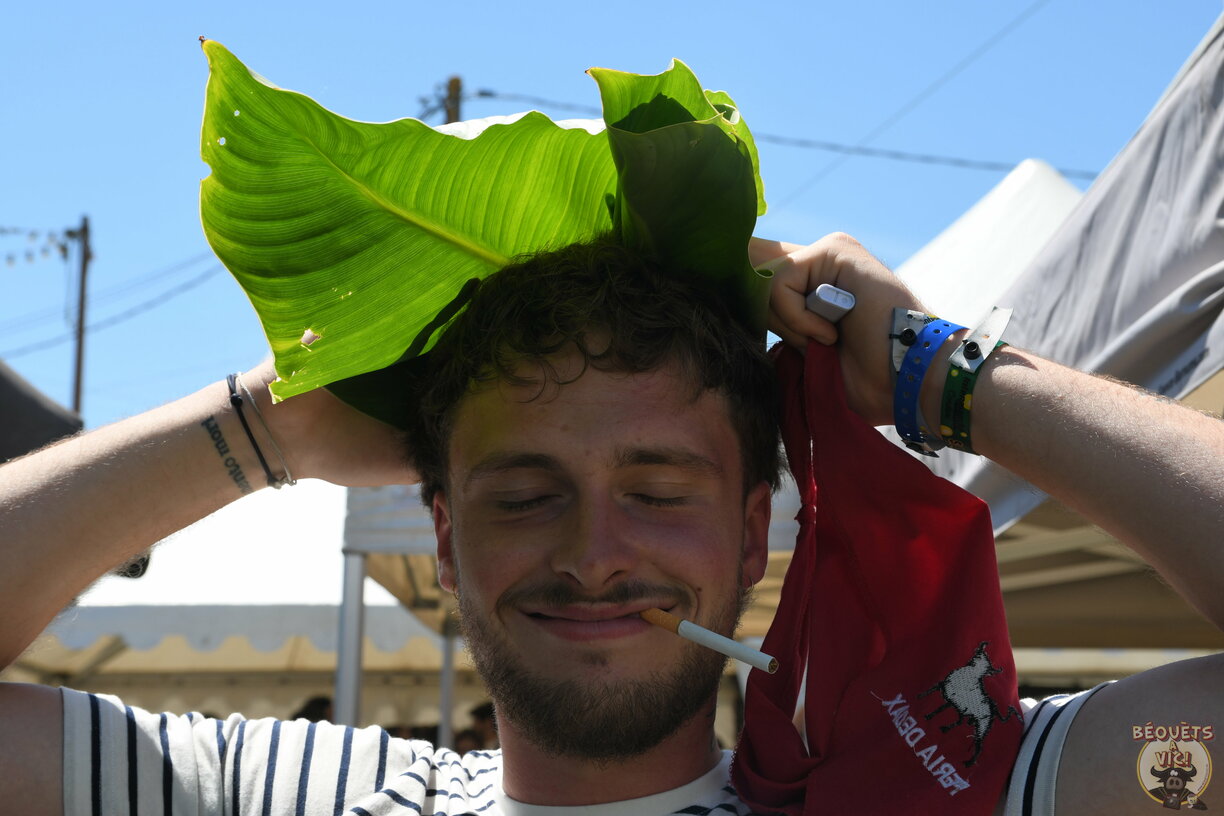 2026-05-24-13-40-22-DSC_2827_web.JPG
