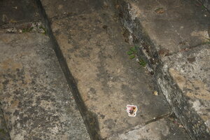 2026-05-25-03-08-18-DSC 3333 web