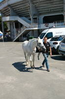 2026-05-23 Vic 15-54-51 NIKON D40 Titou